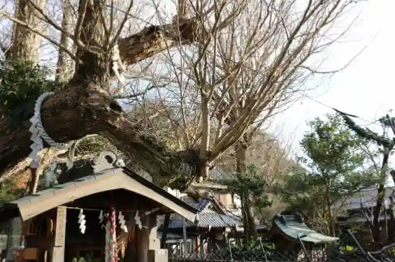 海南神社(神奈川県)