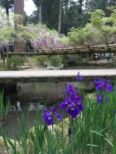 春日大社の庭園