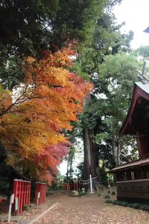 麻賀多神社奥宮の自然