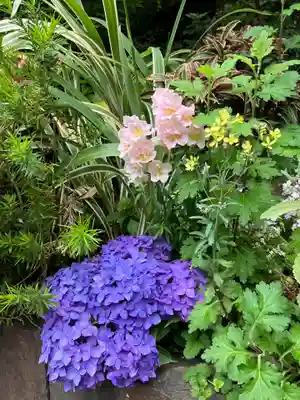 東京大神宮(東京都)