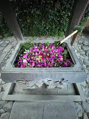 於菊稲荷神社(群馬県)