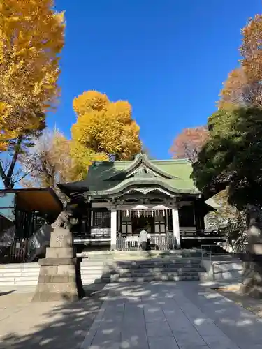 亀戸 香取神社の本殿