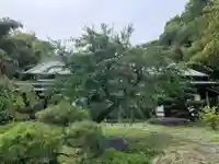 常不軽寺(千葉県)