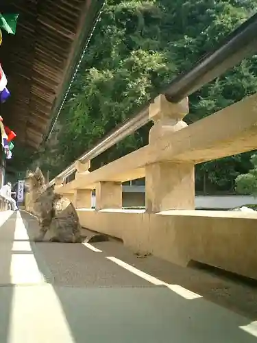 光明寺のその他建物