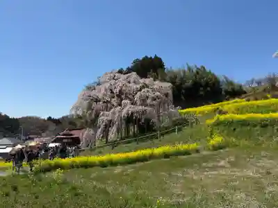 三春大神宮の{uncategorized: "未分類", other: "その他", undefined: "問題あり", building: "その他建物", grave: "お墓", sacred_gate: "鳥居", guardian: "狛犬", statue: "像", buddha: "仏像", history: "歴史", nature: "自然", garden: "庭園", animal: "動物", pagoda: "塔", temizu: "手水舎", mountain_gate: "山門・神門", sanctuary: "本殿・本堂", subordinate: "末社・摂社", art: "芸術", scenery: "景色", jizo: "地蔵", ema: "絵馬", goshuin: "御朱印", omikuji: "おみくじ", items: "授与品その他", amulet: "お守り", goshuincho: "御朱印帳", eats: "食事", festival: "お祭り", votive_dance: "神楽", shichigosan: "七五三参", wedding: "結婚式", experience: "体験その他", initially: "初詣", around: "周辺", anti_infection: "感染症対策"}