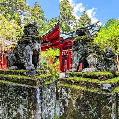 箱根神社の狛犬