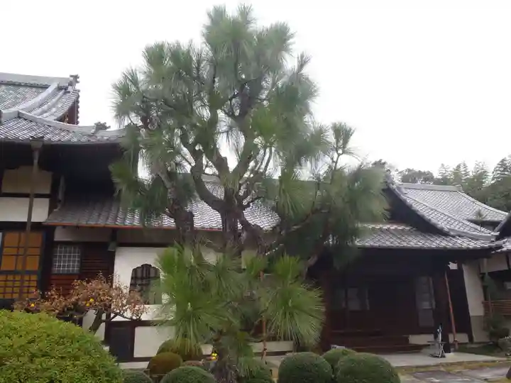 続芳院(岐阜県)