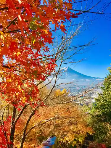 新倉富士浅間神社の景色