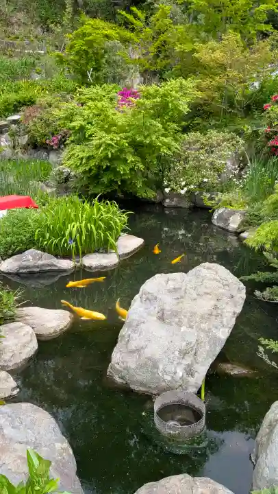 時宗総本山 遊行寺(正式:清浄光寺)の{uncategorized: "未分類", other: "その他", undefined: "問題あり", building: "その他建物", grave: "お墓", sacred_gate: "鳥居", guardian: "狛犬", statue: "像", buddha: "仏像", history: "歴史", nature: "自然", garden: "庭園", animal: "動物", pagoda: "塔", temizu: "手水舎", mountain_gate: "山門・神門", sanctuary: "本殿・本堂", subordinate: "末社・摂社", art: "芸術", scenery: "景色", jizo: "地蔵", ema: "絵馬", goshuin: "御朱印", omikuji: "おみくじ", items: "授与品その他", amulet: "お守り", goshuincho: "御朱印帳", eats: "食事", festival: "お祭り", votive_dance: "神楽", shichigosan: "七五三参", wedding: "結婚式", experience: "体験その他", initially: "初詣", around: "周辺", anti_infection: "感染症対策"}