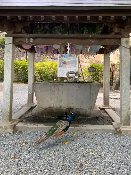 楽法寺(雨引観音)(茨城県)