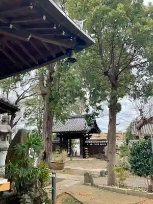 本乗寺の{uncategorized: "未分類", other: "その他", undefined: "問題あり", building: "その他建物", grave: "お墓", sacred_gate: "鳥居", guardian: "狛犬", statue: "像", buddha: "仏像", history: "歴史", nature: "自然", garden: "庭園", animal: "動物", pagoda: "塔", temizu: "手水舎", mountain_gate: "山門・神門", sanctuary: "本殿・本堂", subordinate: "末社・摂社", art: "芸術", scenery: "景色", jizo: "地蔵", ema: "絵馬", goshuin: "御朱印", omikuji: "おみくじ", items: "授与品その他", amulet: "お守り", goshuincho: "御朱印帳", eats: "食事", festival: "お祭り", votive_dance: "神楽", shichigosan: "七五三参", wedding: "結婚式", experience: "体験その他", initially: "初詣", around: "周辺", anti_infection: "感染症対策"}