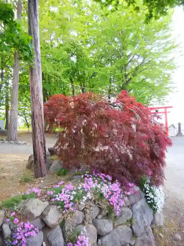 星置神社の自然