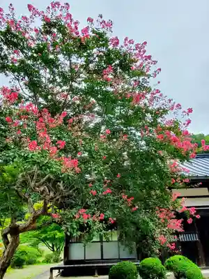 陽林寺(福島県)