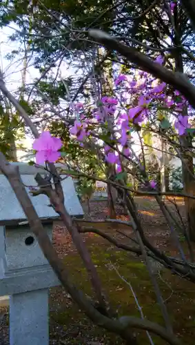 信濃神社の自然