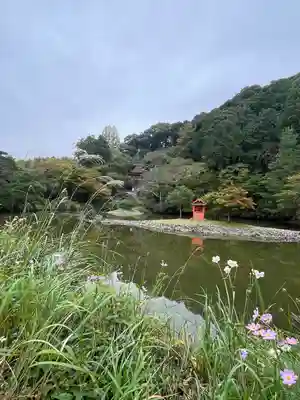 浄瑠璃寺(京都府)