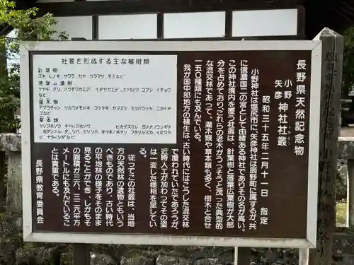 小野神社(長野県)