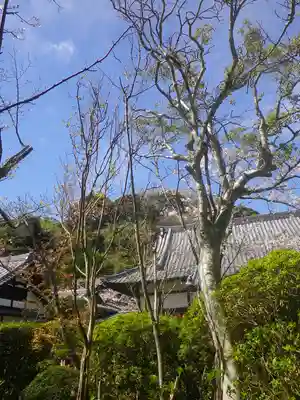 浄光明寺のその他建物