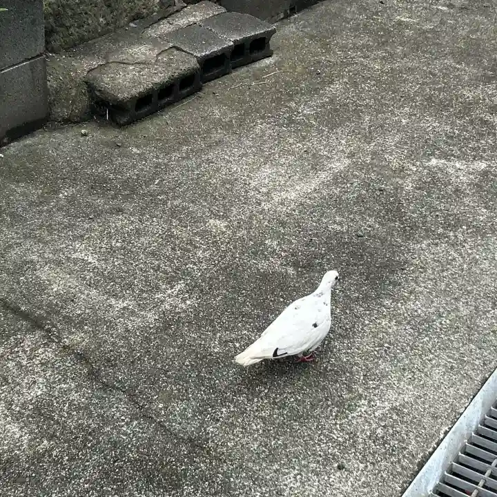 金砂山観音堂(神奈川県)