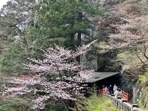 榛名神社の景色