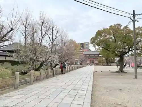四天王寺(大阪府)