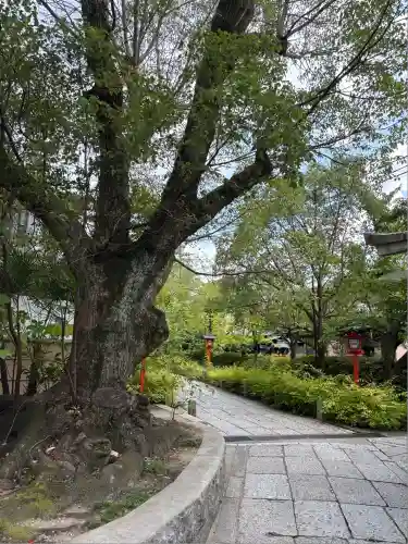 安井金比羅宮(京都府)