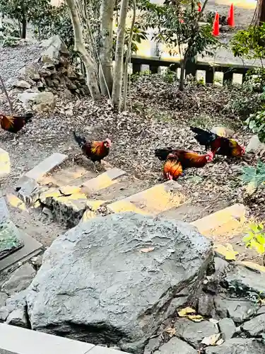 大甕神社(茨城県)
