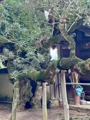 金剛王院(京都府)