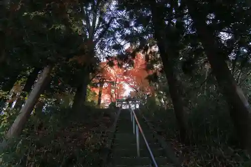 國祖神社の庭園