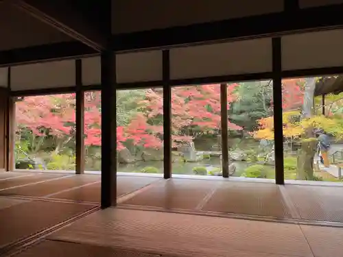 蓮華寺（洛北蓮華寺）の庭園