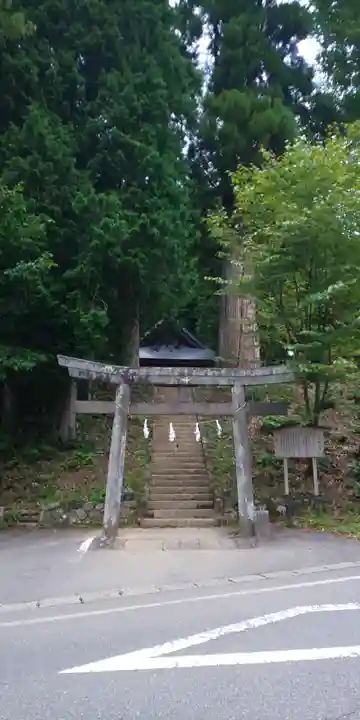 戸隠神社火之御子社の鳥居