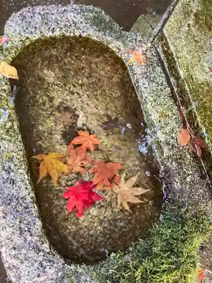 法然院の手水舎