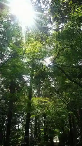 國王神社の建物その他