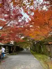 三千院門跡(京都府)