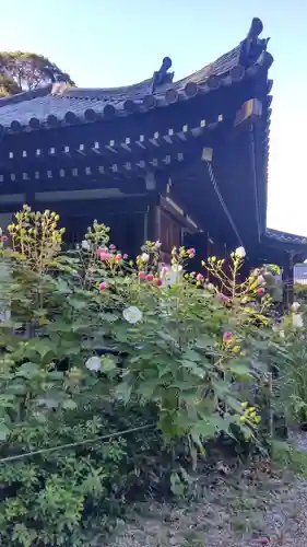 浄瑠璃寺(京都府)