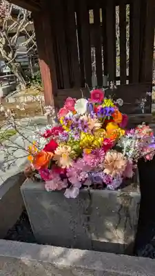 勝林寺(京都府)