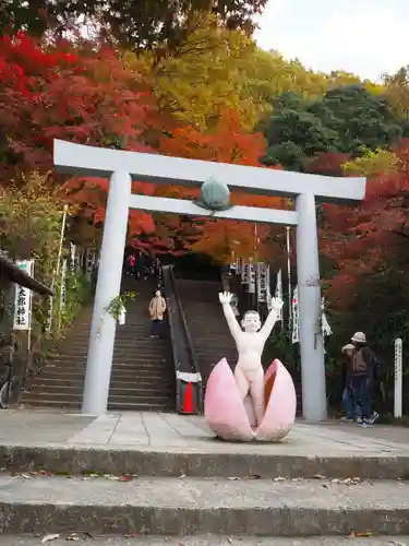 桃太郎神社（栗栖）の鳥居