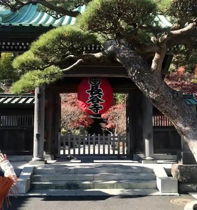 長谷寺の山門・神門