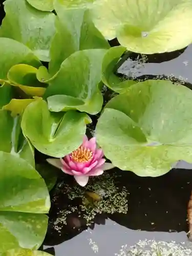 勧修寺(京都府)