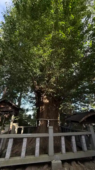 伊達神社(宮城県)