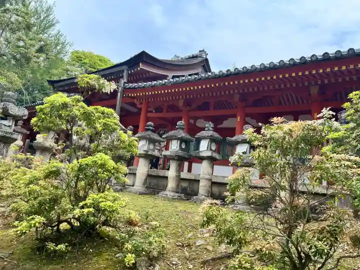 春日大社(奈良県)