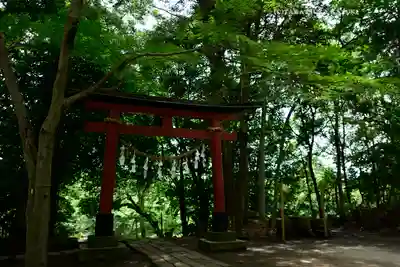 氷川女體神社(埼玉県)