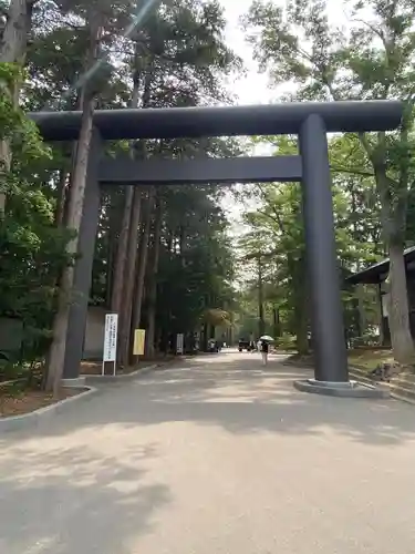 北海道神宮の鳥居