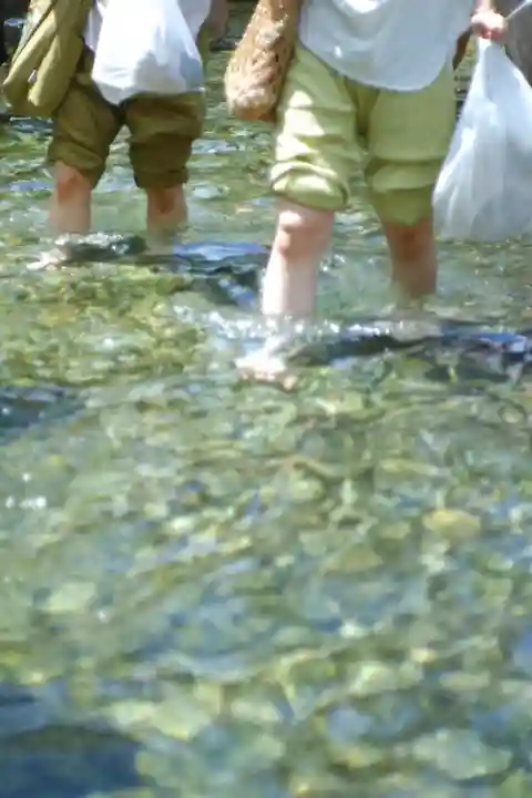 賀茂御祖神社(下鴨神社)(京都府)