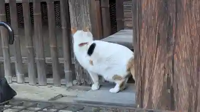 行願寺（革堂）(京都府)