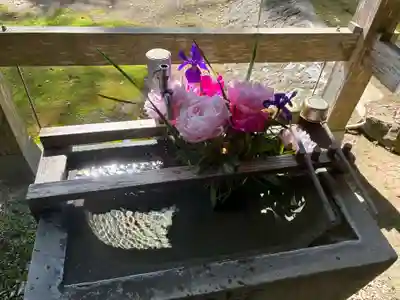 蛭子神社(徳島県)