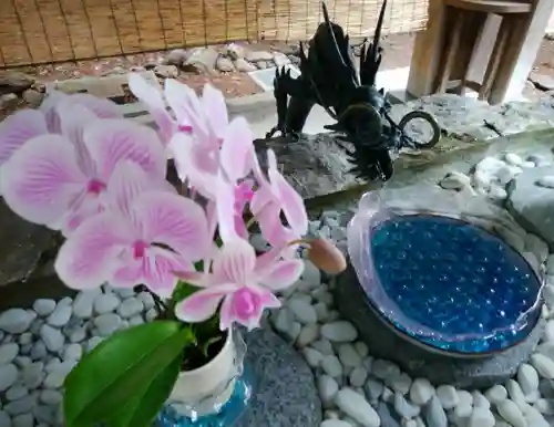 琴似神社(北海道)