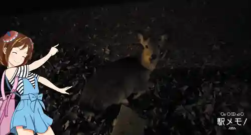 東大寺 二月堂の動物