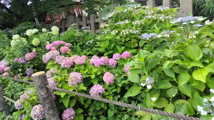 六孫王神社(京都府)