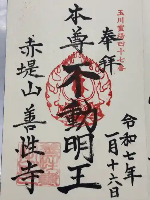 善性寺の御朱印