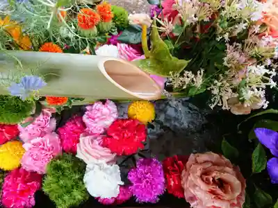 勝林寺(京都府)